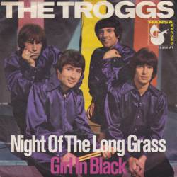 The Troggs : Night of the Long Grass